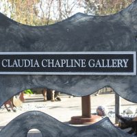 Claudia Chapline Gallery