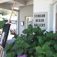 Stinson Beach Gallery