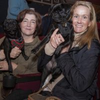 Gallery 3 - 2018 N.Y. Dog and Cat Film Festival