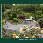 Gallery 1 - sally-robertson-garden