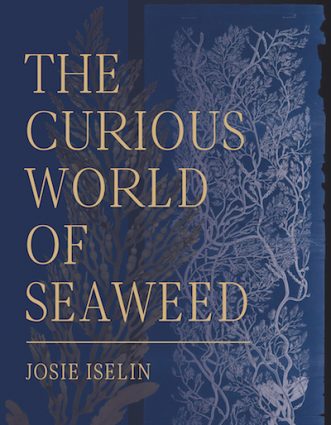 Gallery 1 - Josie-Iselin-Curious-World-of-Seaweed