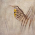 Gallery 2 - Reichman_Spring_Coming_is_a_Meadow_Lark