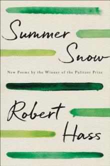 Gallery 1 - hass-summer-snow