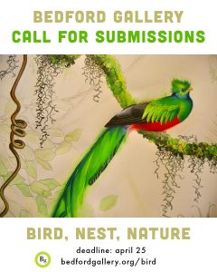 Call for Submissions: Bird, Nest, Nature