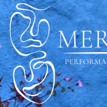Meraki Performance Studio