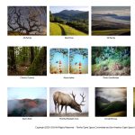 Gallery 1 - LOCAL>> Wonderfully Wild Marin – 2021 Calendar and Online Open Space Fundraiser