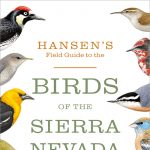 Gallery 1 - Hansens field guide to the birds of the sierra nevada