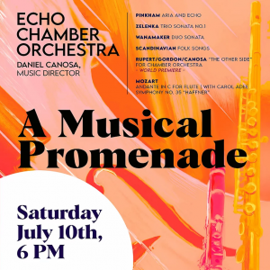ECHO Chamber Orchestra: A Musical Promenade