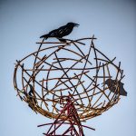 Gallery 2 - Where Have All the Birds Gone? – Community Event/Reception