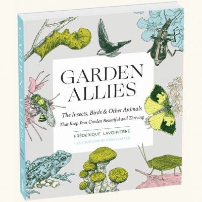 Garden Allies – with Frédérique Lavoipierre