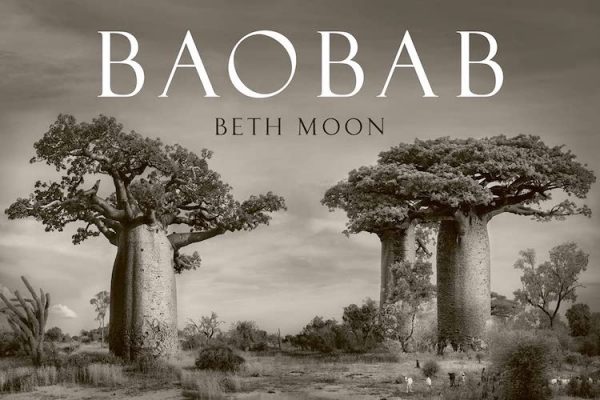 Gallery 1 - baobob