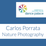 LOCAL>> Carlos Porrata: Nature Photography