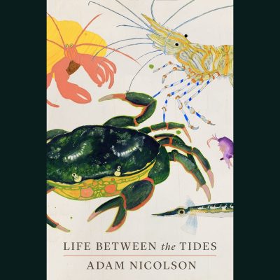 LOCAL>> Adam Nicolson – Life Between the Tides