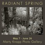 Radiant Spring – An Exhibit of Photographs by Marty Knapp