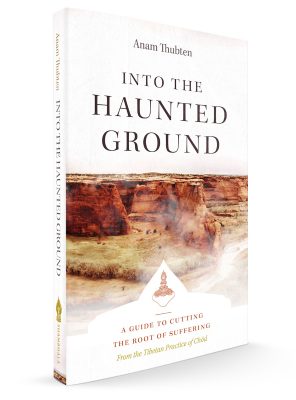 Gallery 1 - into_the_haunted_ground