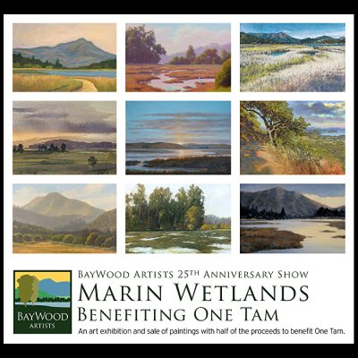 BayWood Artists: Marin Wetlands