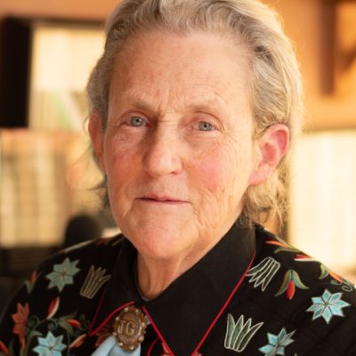 Temple Grandin – Visual Thinking