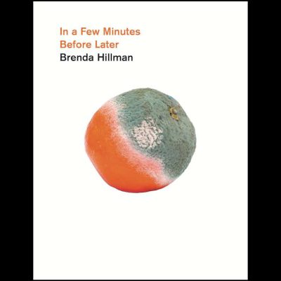 Brenda Hillman – In a Few Minutes Before Later