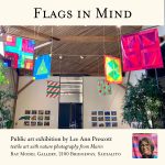 Flags in Mind