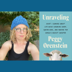 Peggy Orenstein - Unraveling