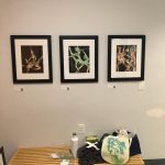 Gallery 5 - Framed Limited Edition Prints 11