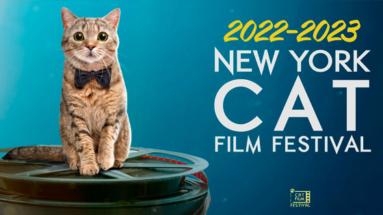 Gallery 3 - Cat Film Festival