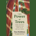 Peter Wohlleben – The Power of Trees