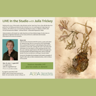 Live in the Studio with Julia Trickey