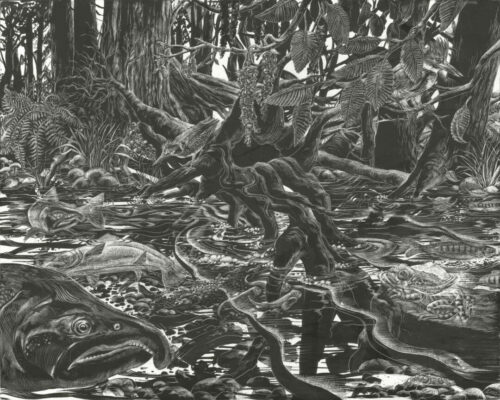 Gallery 2 - Laurie Sawyer, Salmon Cycle, India Ink On Clayboard, 16 x 20