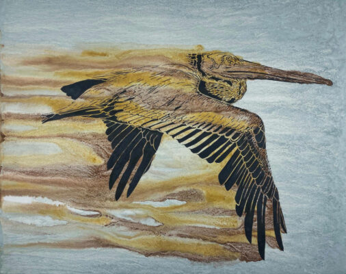 Gallery 1 - Xander Weaver-Scull, Brown Pelican, 22in x 28in