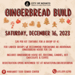 Gallery 1 - Gingerbread Build