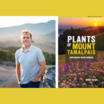 Robert Steers – Plants of Mount Tamalpais