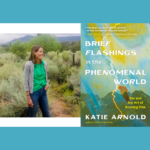 Katie Arnold – Brief Flashings in the Phenomenal World